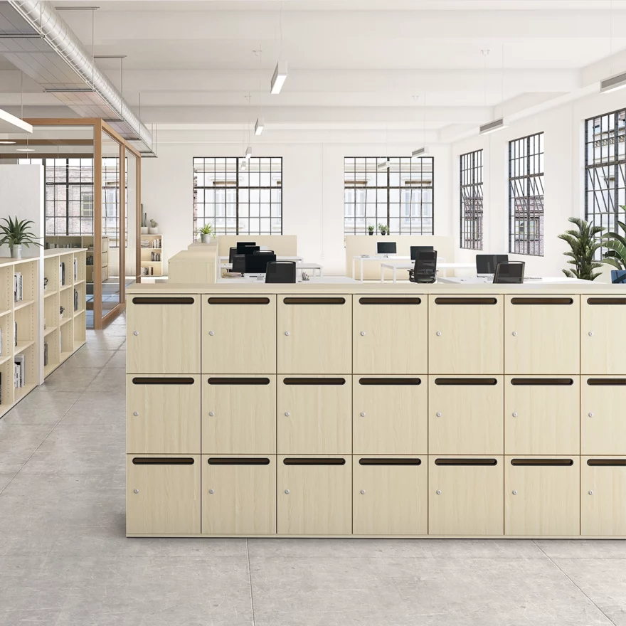 Association de plusieurs casier type boîtes aux lettres avec fente courrier.