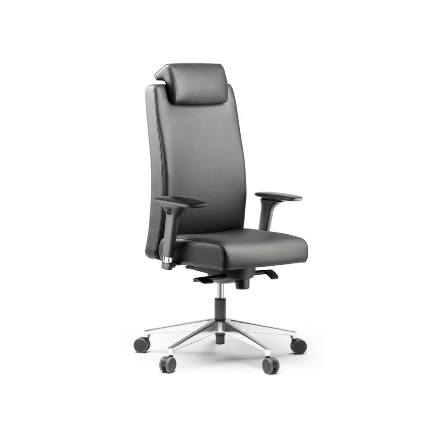Fauteuil Bost cuir avec accoudoirs 4D